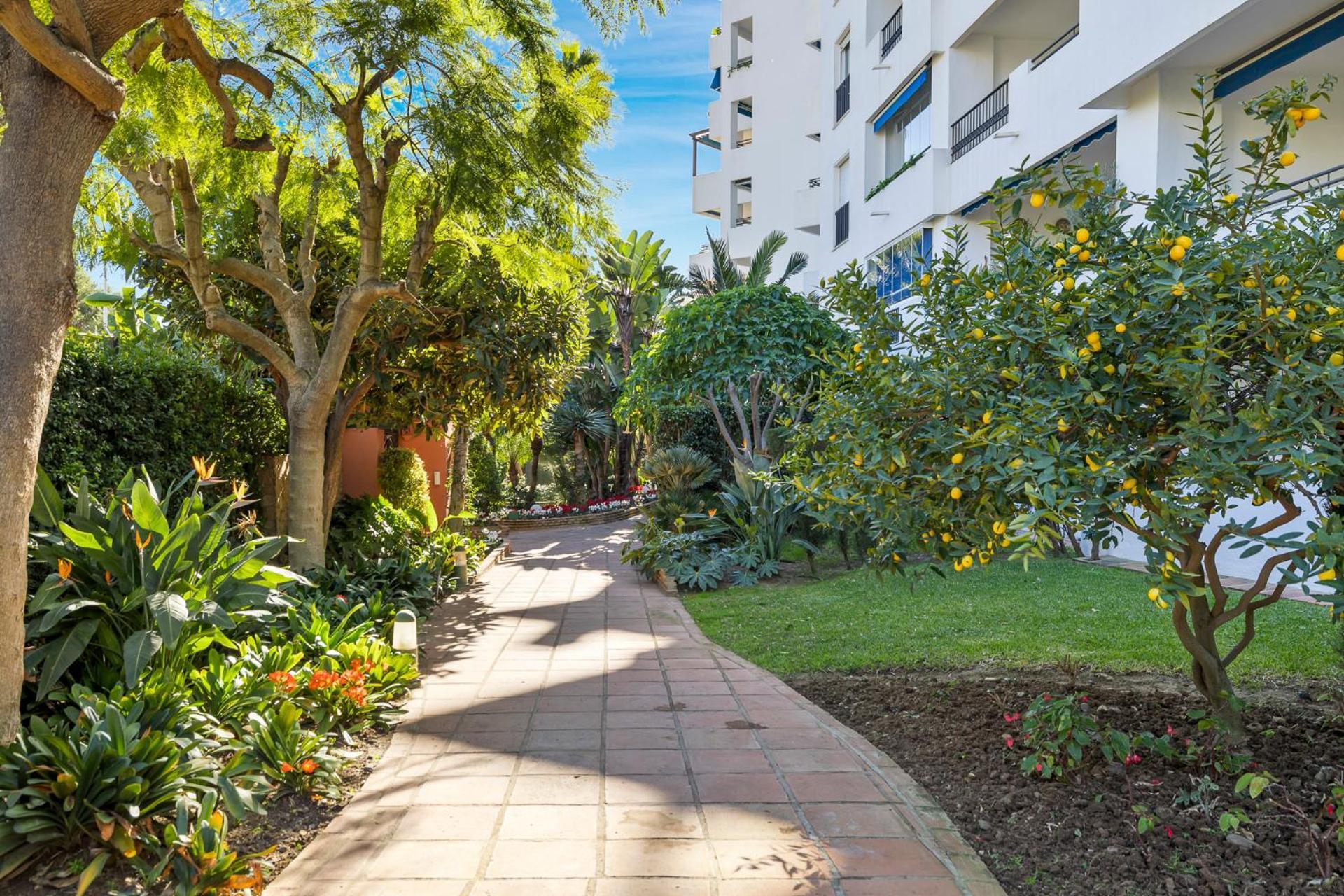 Charming And Spacious Apartment In Medina Garden - Puerto Banus Marbella Eksteriør billede